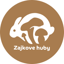 Zajkove huby